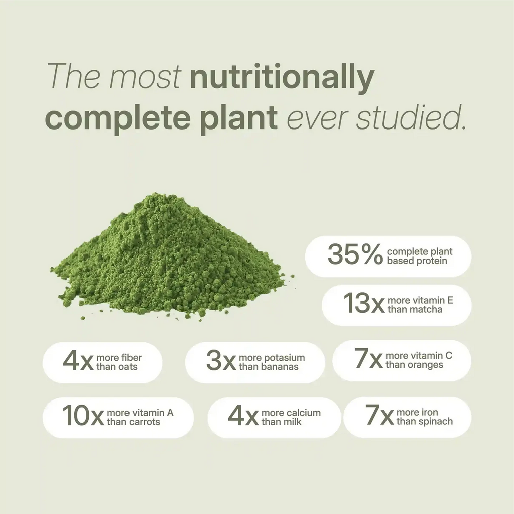 Treelogy Organic Moringa Powder - 45 grams