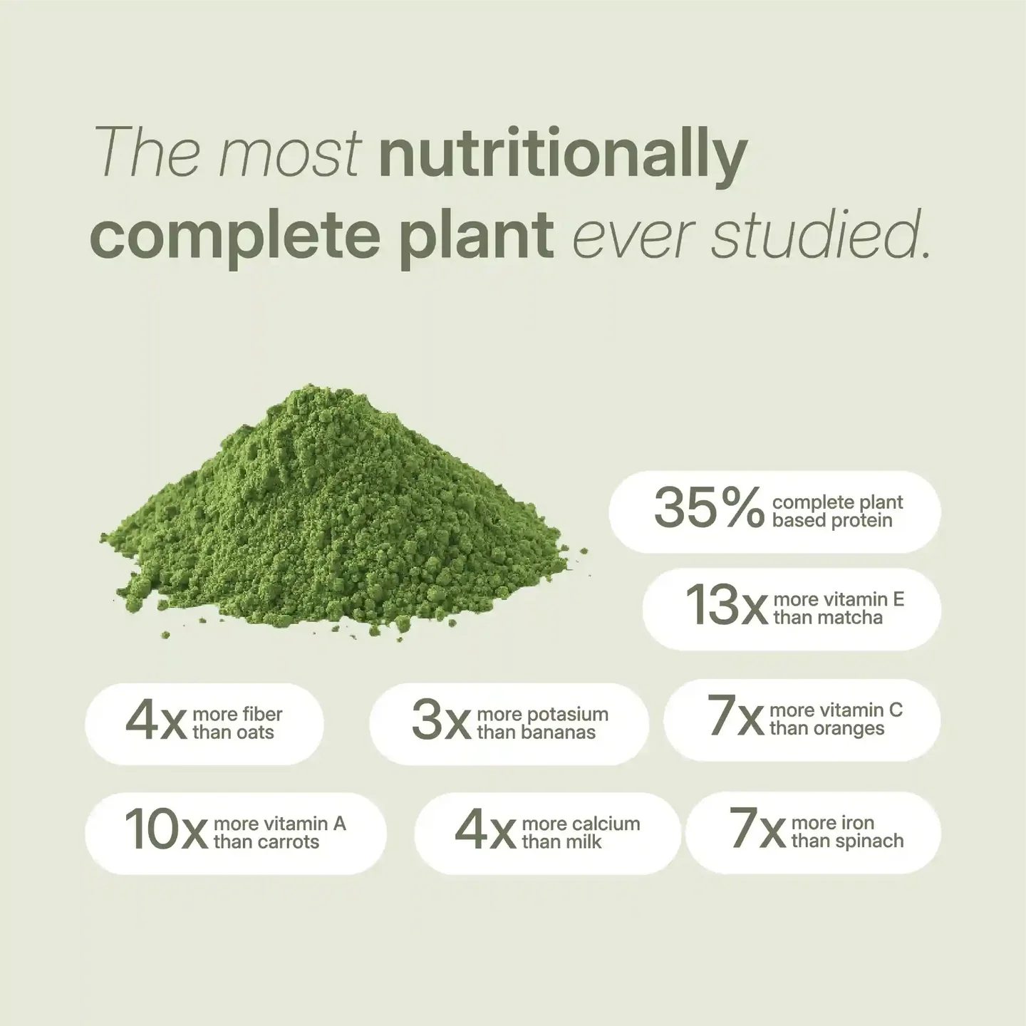 Treelogy Organic Moringa Powder - 45 grams